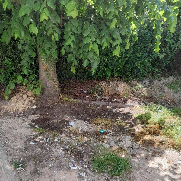 A tree and some land where people had been Fly-Tipping, but the area by the tree is clear after Essex Waste Man has removed the rubbish with their fly-tipping clearance service